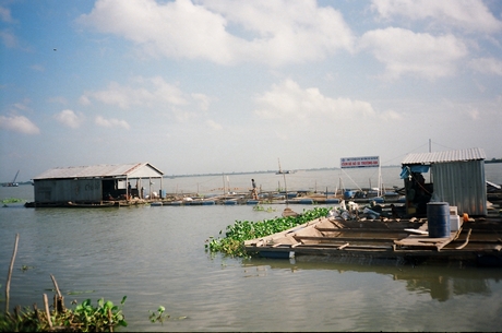 Vĩnh Long chú trọng phòng chống dịch bệnh để nghề nuôi thủy sản phát triển bền vững.