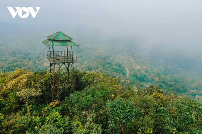 Đỉnh U Bò được nhiều người biết đến là địa điểm lý tưởng để thực hiện những chuyến trekking, nhìn ngắm vẻ đẹp hoang sơ của núi rừng Trường Sơn. Đây là nơi cao nhất nằm trong hệ thống của rừng Phong Nha - Kẻ Bàng.