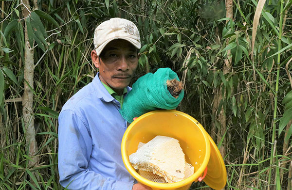 Trong khi chờ tới chu kỳ thu hoạch cây tràm, người dân đất rừng U Minh Hạ sống nhờ những sản vật trù phú dưới tán rừng, mà mật ong là nguồn thu chính giúp bà con duy trì cuộc sống.