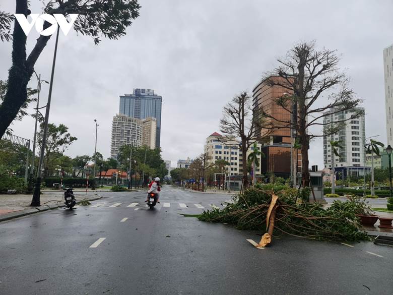 Ba nhà dân tại Đà Nẵng bị tốc mái, 75 cây xanh và một số biển hiệu quảng cáo ngã đổ.