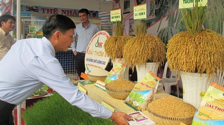 Giá trị xuất khẩu gạo Việt cũng đang ở mức cao nhờ đa dạng hóa các loại gạo có chất lượng.