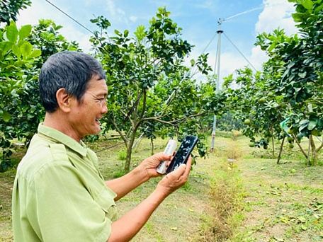 Nông dân ở ĐBSCL thao tác trên điện thoại để điều khiển hệ thống phun tưới nước tự động cho vườn cây ăn trái.