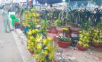 Nông sản Vĩnh Long tham gia Chợ hoa Xuân 