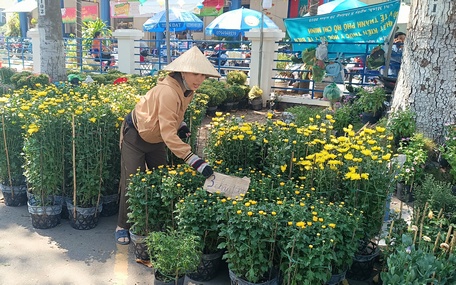 Các mặt hàng hoa kiểng cũng giảm mạnh ở phiên chợ cuối năm.