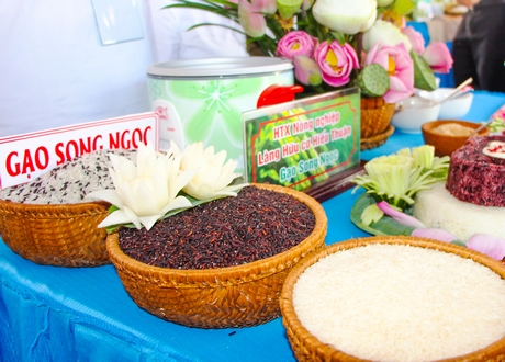 Sản phẩm gạo của Hợp tác xã Nông nghiệp Làng hữu cơ Hiếu Thuận.