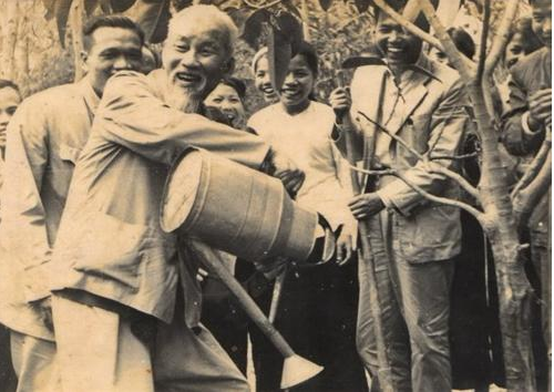 Bác Hồ trồng cây đa tại xã Vật Lại, Ba Vì, Hà Tây (nay là Hà Nội) ngày 16/2/1969. Ảnh tư liệu