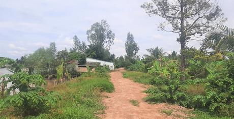 Hiện trạng tuyến đê bao đi qua phần đất của bà Nguyễn Thị Thu Hồng. Ảnh chụp ngày 2/2/2023