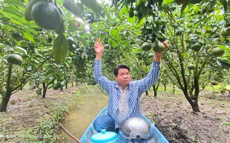 Anh Lê Văn Tài- Giám đốc HTX Cam sành Thắm Tài đang rất “máu lửa” liên kết với nông dân, đối tác có kinh nghiệm để tìm đường xuất khẩu cho trái cam sành.
