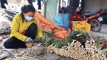 Mùa khô nông dân Tiền Giang vẫn có nguồn thu nhập khá nhờ trồng rau màu