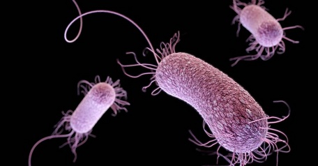 Khi tình trạng AMR trở thành mối lo ngại ngày càng lớn, siêu vi khuẩn cũng trở thành một rủi ro nghiêm trọng.Ảnh minh họa: Reuters