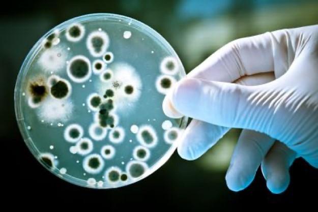 Hợp chất halicin do AI tìm ra có thể là bước đột phá cho ngành y sinh thời gian tới. Ảnh: Shutterstock.com