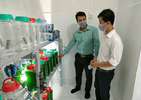 Ứng dụng công nghệ sinh học trong nông nghiệp được đặc biệt quan tâm. Trong ảnh: Tảo xoắn Mekong là cơ sở sản xuất tảo Spirulina đầu tiên tại Vĩnh Long.