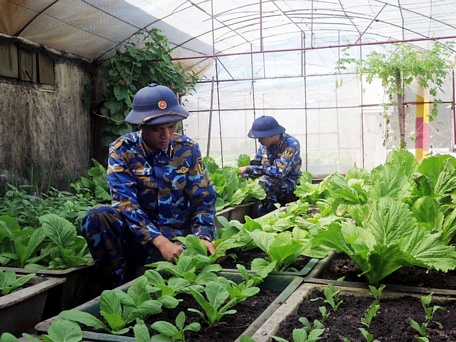 Các chiến sĩ chăm sóc vườn rau xanh trên đảo An Bang, huyện Trường Sa. (Ảnh QUÂN TRANG)