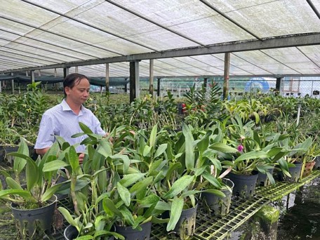 Khu vực nhà màng bảo tồn các giống lan tại Khu nông nghiệp công nghệ cao TP Hồ Chí Minh.