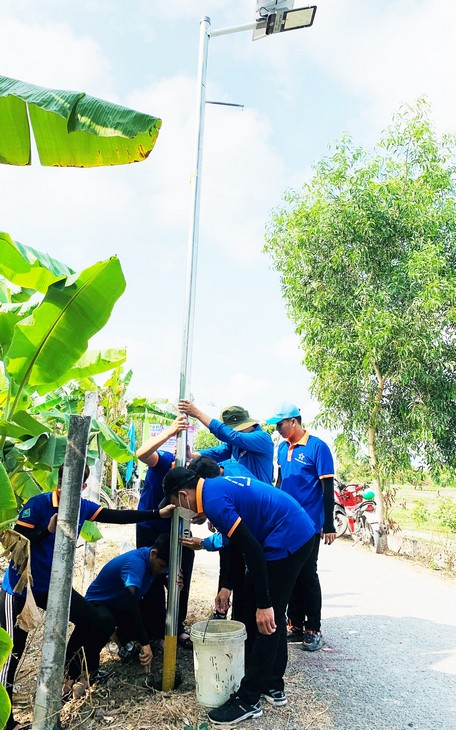 Sinh viên Trường ĐH Sư phạm kỹ thuật Vĩnh Long tình nguyện hỗ trợ thực hiện công trình “Thắp sáng đường quê” ở ấp Phú Long.