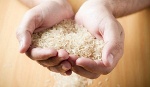 Philippines là khách hàng lớn nhất của gạo Việt