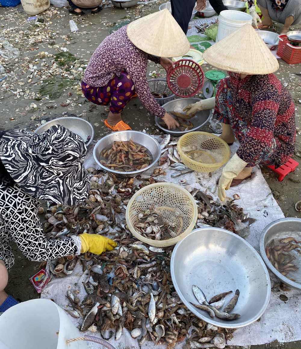 Đủ loại cá, tôm, ghẹ, mực… đổ đống ngay bãi biển và được người mua lựa ra từng loại riêng.