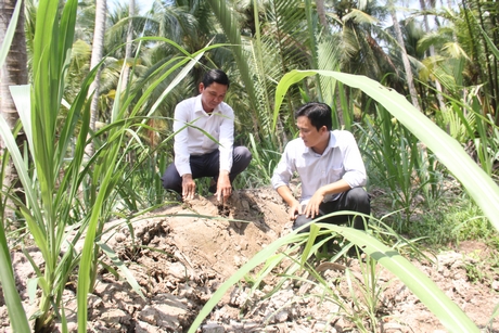 Chủ tịch Hội Nông dân xã Thành Thới A và Trưởng ấp Tân Phong kiểm tra đê bao liên hộ bảo vệ sản xuất.