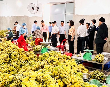 Nhà đầu tư, doanh nghiệp Nhật Bản tham quan thực tế tại Công ty TNHH Đông Phát Food (Bình Tân).