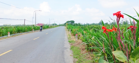 Một góc đường giao thông của huyện NTM Bình Tân.
