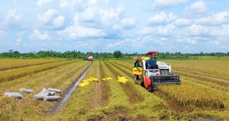 Khắc ghi lời dạy của Bác “HTX nông nghiệp là một tổ chức có lợi to cho nhà nông”, các địa phương trong tỉnh đang nỗ lực đưa nông dân vào sản xuất tập thể.