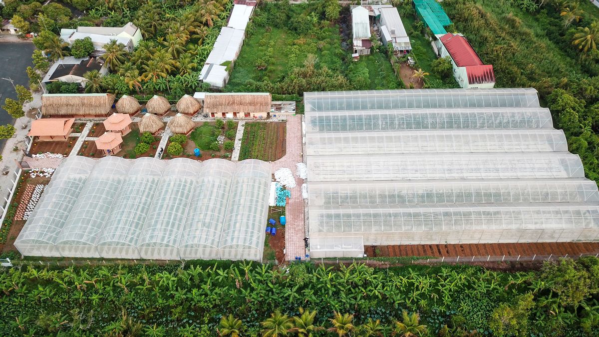 Khu vực trồng dưa lưới đạt chuẩn VietGap với 12 nhà màng của anh Huỳnh Phú Lộc (Phường Tân Ngãi- TP Vĩnh Long) áp dụng công nghệ Israel vào sản xuất.