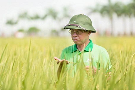  Sản phẩm của ThaiBinh Seed và ông Trần Mạnh Báo, Chủ tịch HĐQT, Tổng Giám đốc ThaiBinh Seed vinh dự được nhiều lần nhận giải thưởng Bông lúa vàng Việt Nam. Ảnh: ThaiBinh Seed.