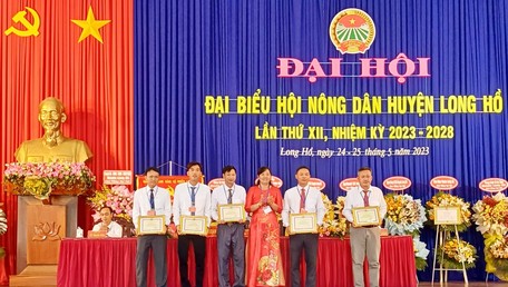 Bà Phan Thị Mỹ Hạnh- Chủ tịch UBND huyện Long Hồ trao giấy khen cho các tập thể xuất sắc.
