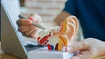 Phát minh ốc tai nhân tạo giúp tăng hiệu suất trợ thính