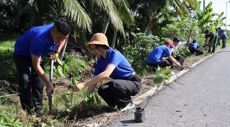 Tuổi trẻ các đơn vị tham gia trồng cây xanh