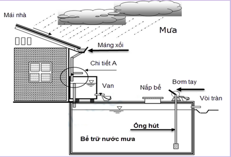 Mô hình một bể chứa nước mưa ở hộ gia đình.