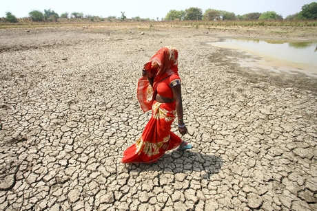 Một phụ nữ đi trên lòng hồ khô nứt nẻ tại bang Uttar Pradesh, Ấn Độ hồi tháng 5/2022.