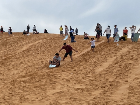Đồi cát tự nhiên Bình Thuận thu hút du khách tham quan chụp ảnh và chơi trượt cát.