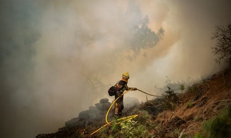 Lính cứu hỏa chữa cháy trong rừng tại quần đảo Canary, Tây Ban Nha ngày 16/7.