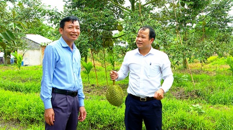  Ông Nguyễn Hiếu Nghĩa- Trưởng Ban Tổ chức Tỉnh ủy (bên trái), cùng đoàn khảo sát tham quan mô hình trồng sầu riêng hiệu quả của địa phương.