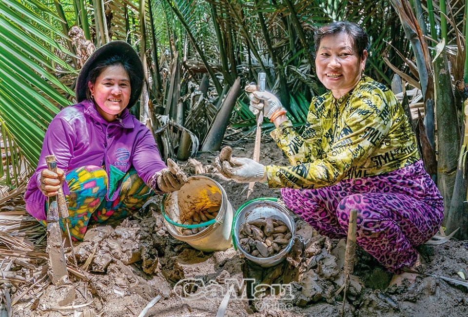 Chị Nguyễn Thị Bé (trái) vào rừng bắt chem chép, mỗi ngày kiếm được vài trăm ngàn đồng.