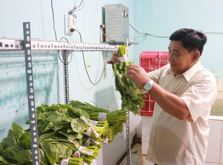 Ông Trần Văn Hiền (xã Phước Hậu, huyện Long Hồ) luôn nêu cao tinh thần gương mẫu trong phát triển kinh tế.