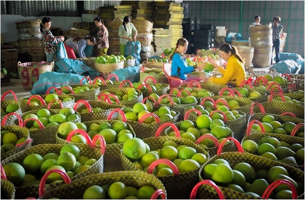 Hội chợ Công thương vùng ĐBSCL- Vĩnh Long 2023 là cơ hội quảng bá, giới thiệu các sản phẩm tiêu biểu, có thế mạnh của tỉnh Vĩnh Long. Ảnh: NGUYỄN HÒA BÌNH