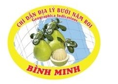 Mẫu logo chỉ dẫn địa lý bưởi năm roi Bình Minh