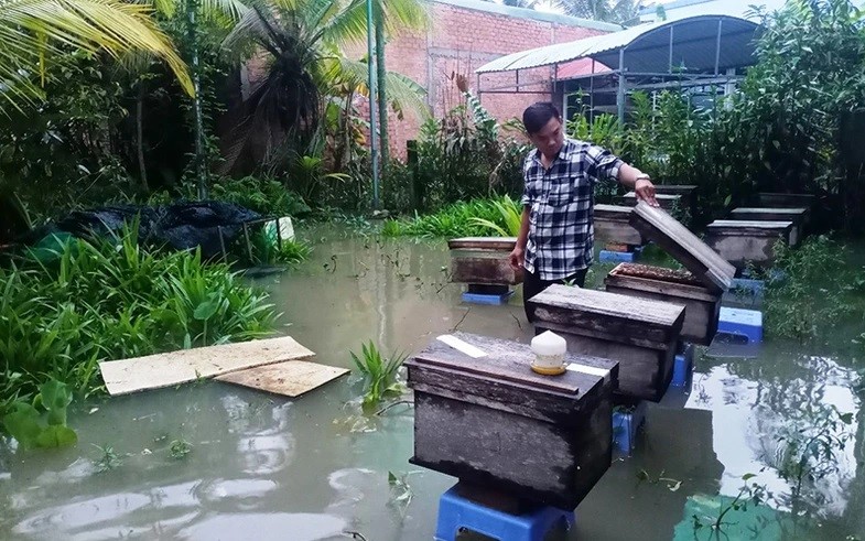 Một hộ nuôi ong ở Phường 10, thành phố Mỹ Tho (Tiền Giang) bị triều cường gây ngập.