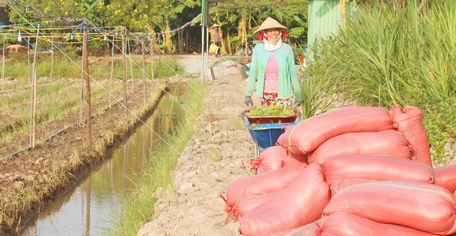 Chương trình mục tiêu quốc gia xây dựng nông thôn mới là sự kỳ vọng về sự đổi đời của người dân nông thôn, xã hội nông thôn.