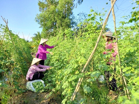 Tăng cường tuyên truyền, vận động nông dân tham gia các mô hình sản xuất nông nghiệp tập thể.