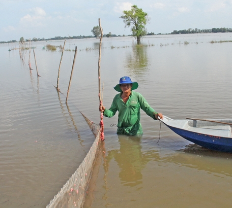 Chú Tư Sang thăm dớn cá trên cánh đồng 3 xã bờ Đông (thuộc huyện An Phú, tỉnh An Giang). 