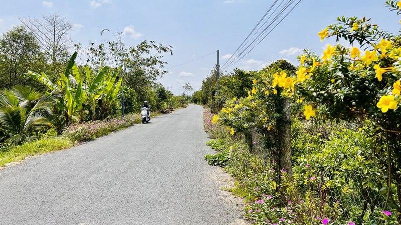 Đến nay, huyện Long Hồ đã huy động sức dân 8,6 tỷ đồng đầu tư xây dựng giao thông nông thôn.