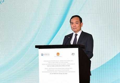 Phó Thủ tướng Trần Lưu Quang nêu 5 định hướng thúc đẩy hợp tác đầu tư OECD-Đông Nam Á - Ảnh: VGP/Hải Minh