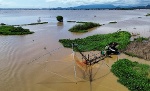 Miền Tây Nam Bộ: Mùa cá ra sông