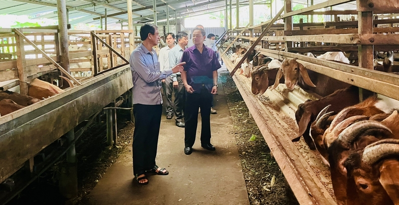 Ông Đặng Văn Chính cùng các thành viên trong đoàn khảo sát thực tế tại Trại dê Tầm Vu.