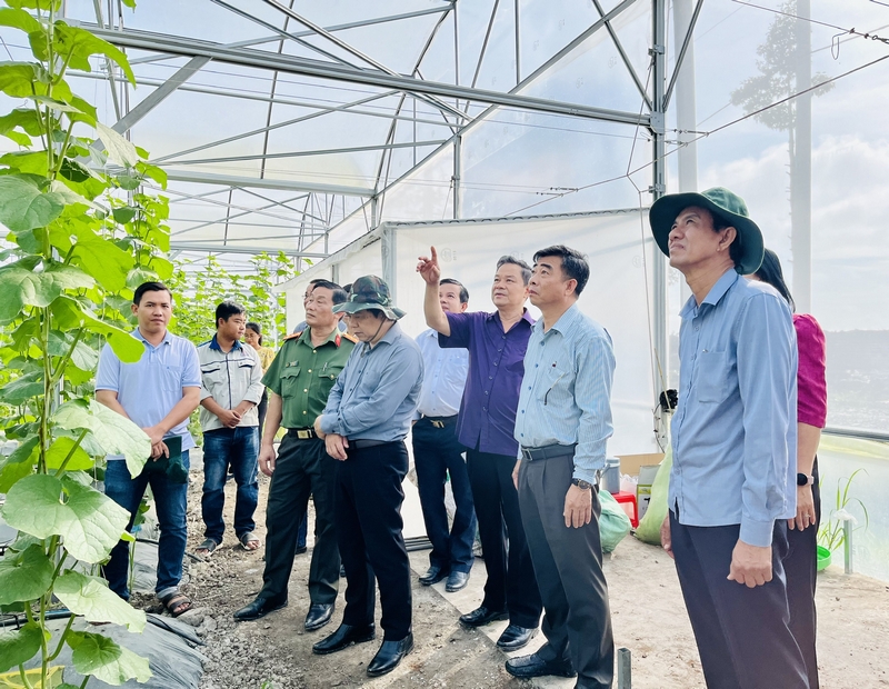 Mô hình canh tác dưa lưới trong nhà màng có tiềm năng kết hợp phát triển du lịch.