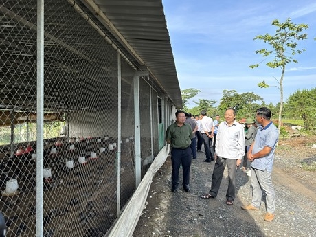 Đoàn tham quan trang trại nuôi gà ở xã Thuận An.