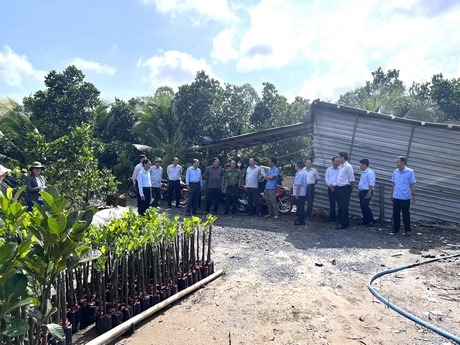 Thăm hỏi tình hình sản xuất tại HTX Nông nghiệp Công nghệ cao Đồng Xanh.